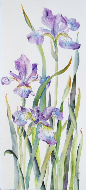 Elaine Tweedy - Lavender queen II