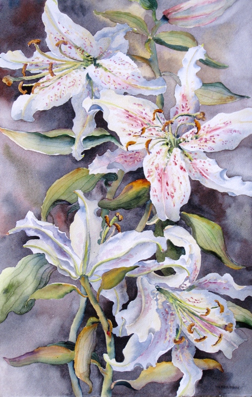 Elaine Tweedy - White Elegance (SOLD)