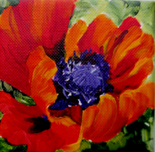 Elaine Tweedy - Happy Red Poppy X (SOLD)