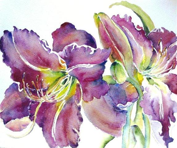 Elaine Tweedy - 'You Devil' Daylily 