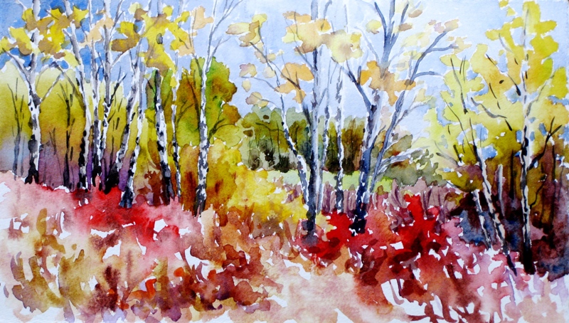 Elaine Tweedy - Alberta Fall