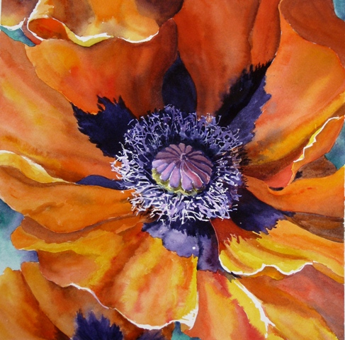 Elaine Tweedy - 'Prince of Orange' (oriental Poppy)