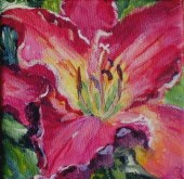 Elaine Tweedy - Happy Collection Daylily (sold)