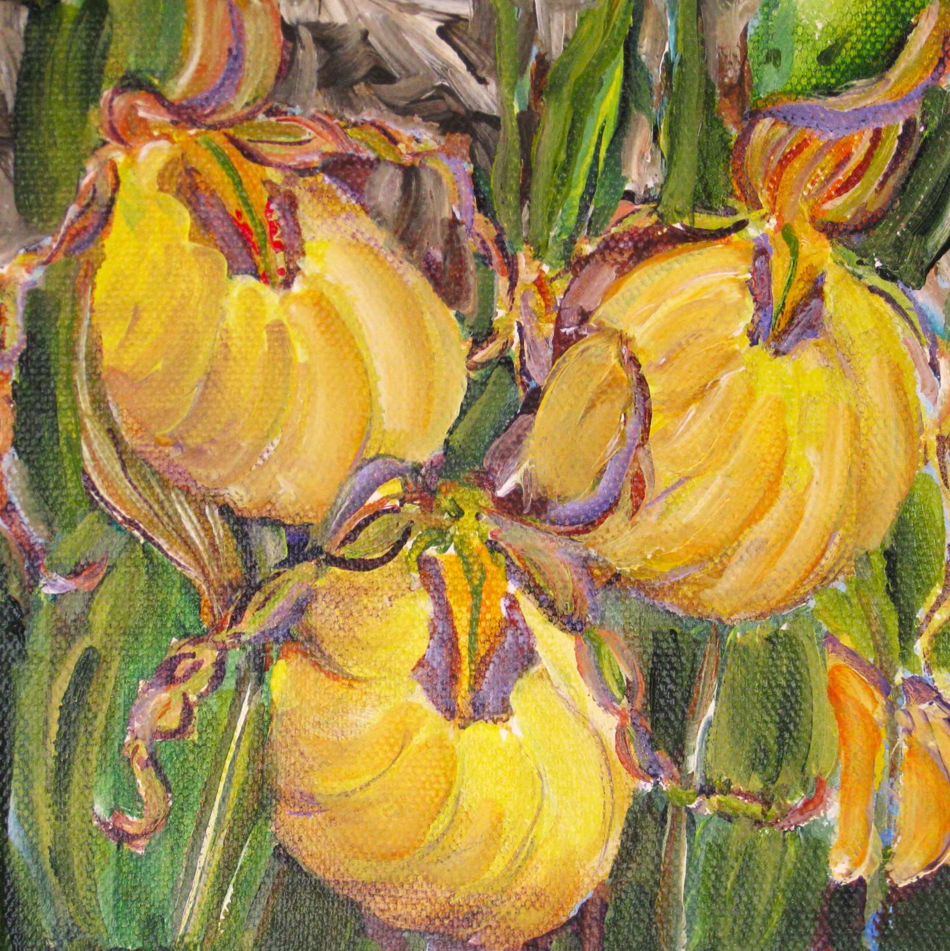Elaine Tweedy - Wild Lady Slippers