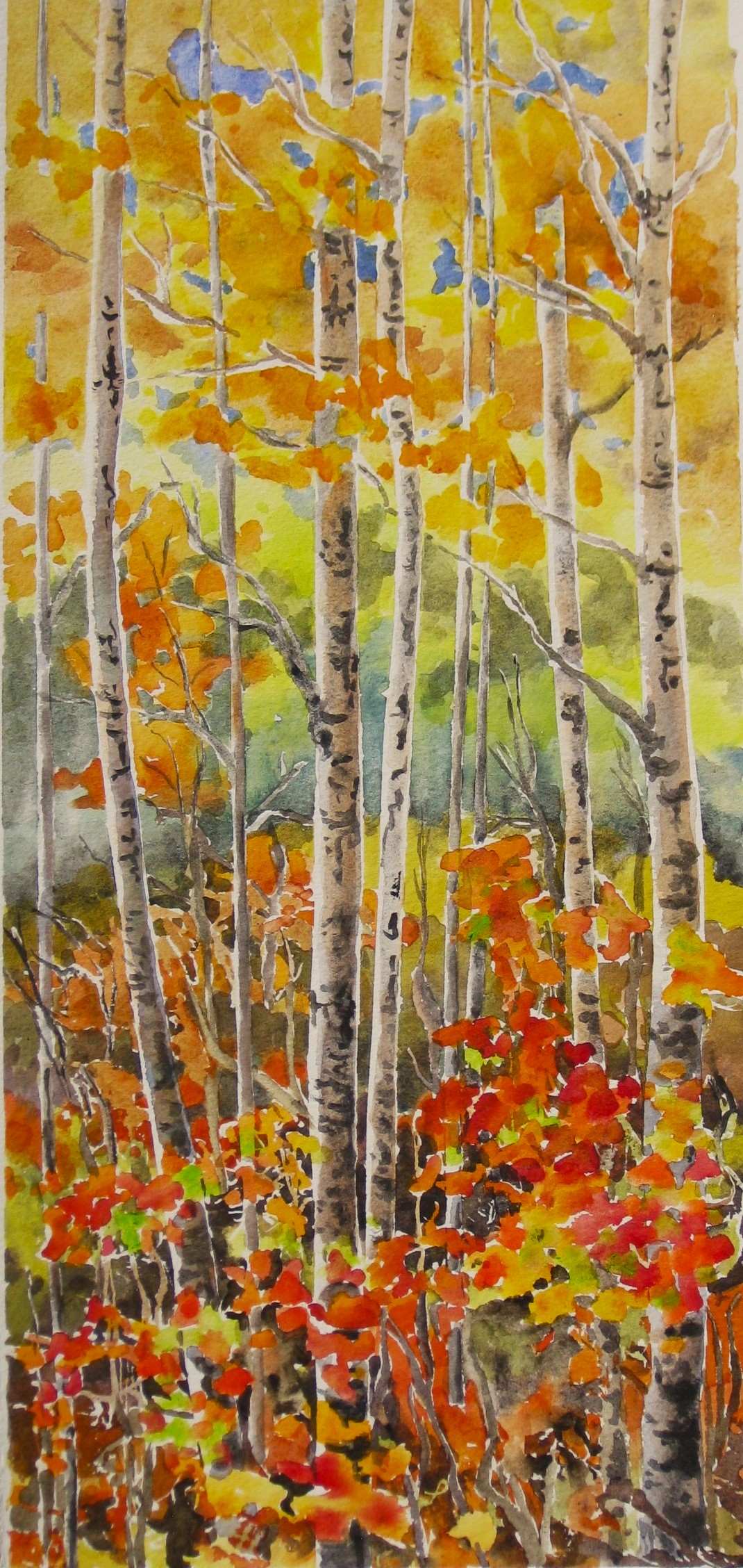 Elaine Tweedy - Serene Aspen Grove