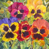 Elaine Tweedy - Pansy Mix II