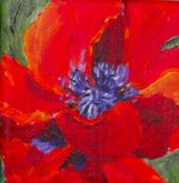 Elaine Tweedy - Happy Collection - Scarlet Poppy