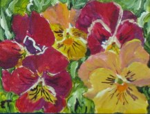 Elaine Tweedy - Re and Yellow Pansies
