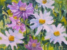 Elaine Tweedy - Daisies